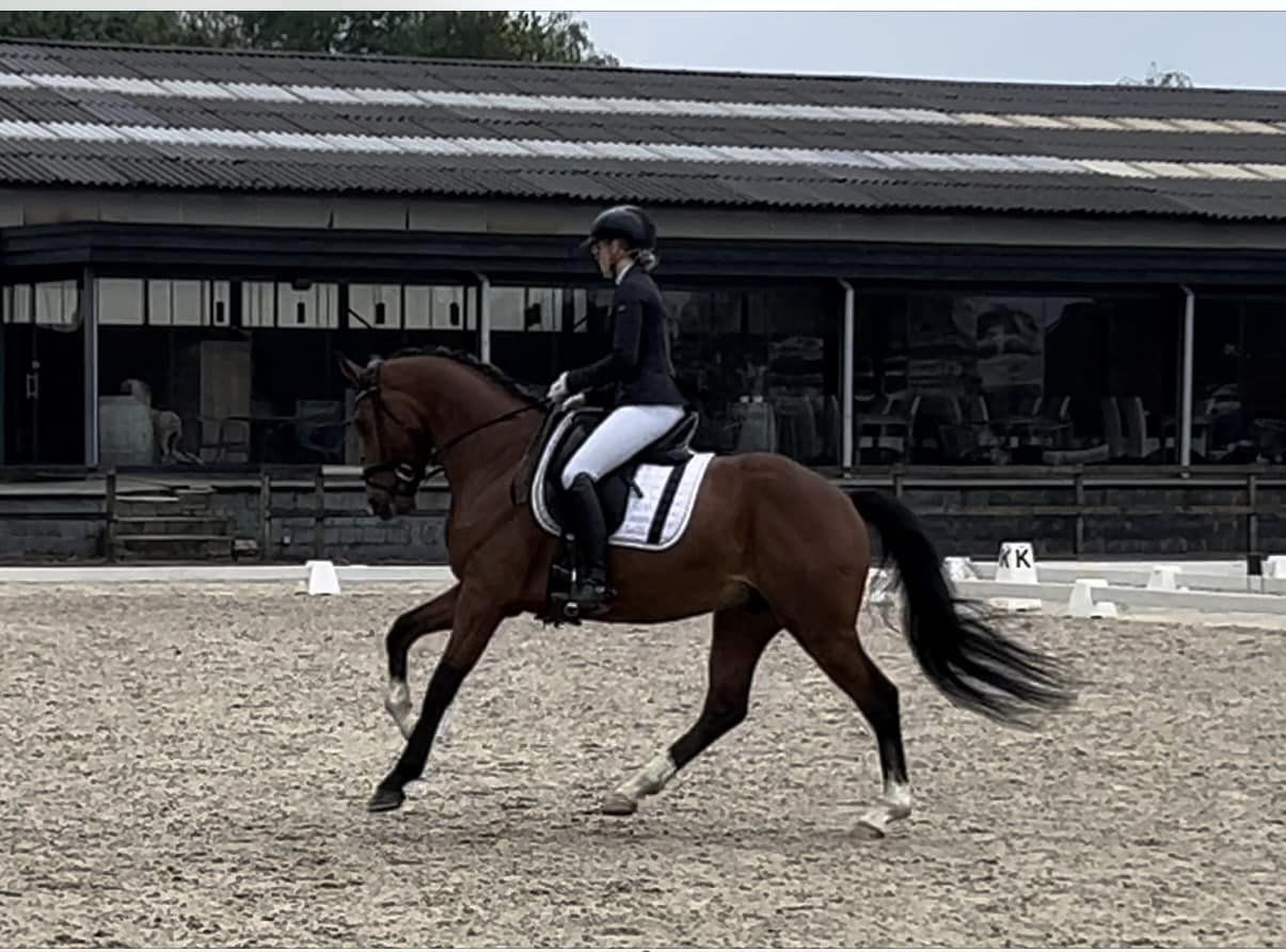 Ordando loopt naar bijna 70 %