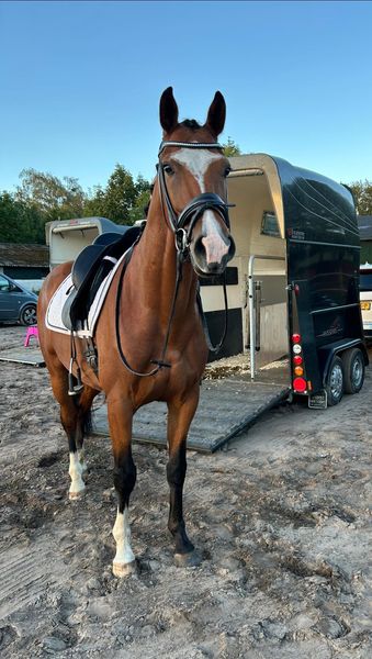 Ordando in de Mortel